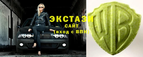 ECSTASY Бородино