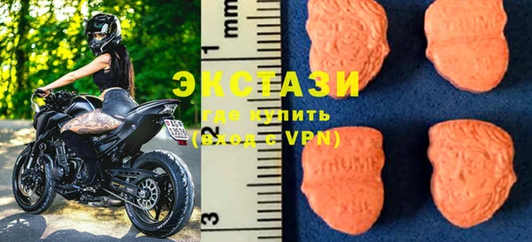 ECSTASY Бородино