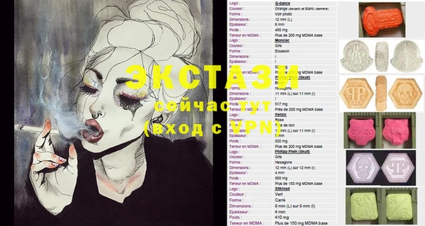 ECSTASY Бородино