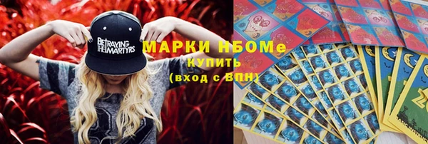 ECSTASY Бородино