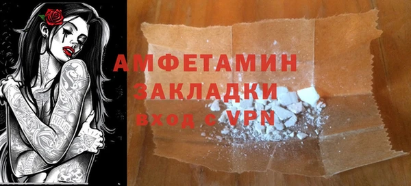 ECSTASY Бородино