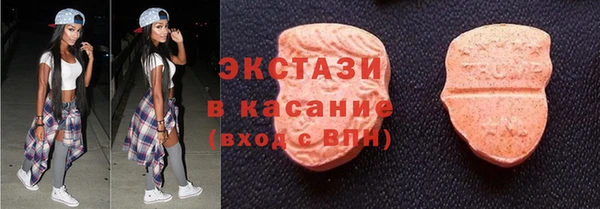 ECSTASY Бородино