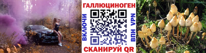 Купить  Киржач  Галлюциногенные грибы прущие грибы 