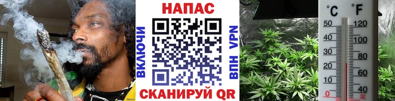 Конопля индика  Купить где  Киржач 